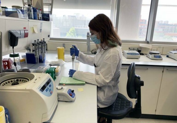 Ciencia concede 857 millones para contratar jóvenes investigadores y proyectos de investigación