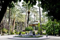 CCOO rechaza la privatización de Parques y Jardines de Elche y reclama más plantilla y medios
