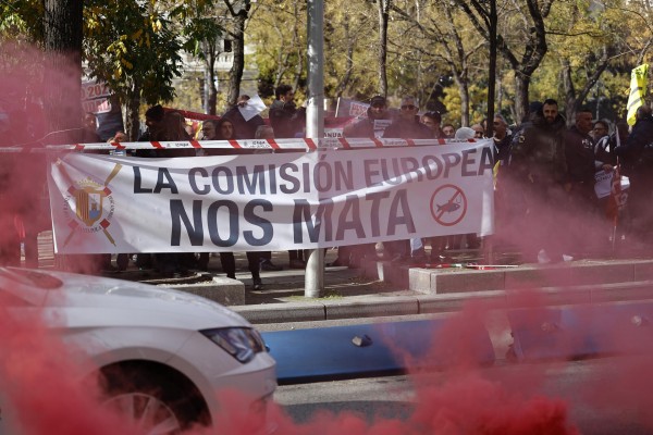 Xàbia convoca una concentración en favor de la pesca profesional del Mediterráneo 