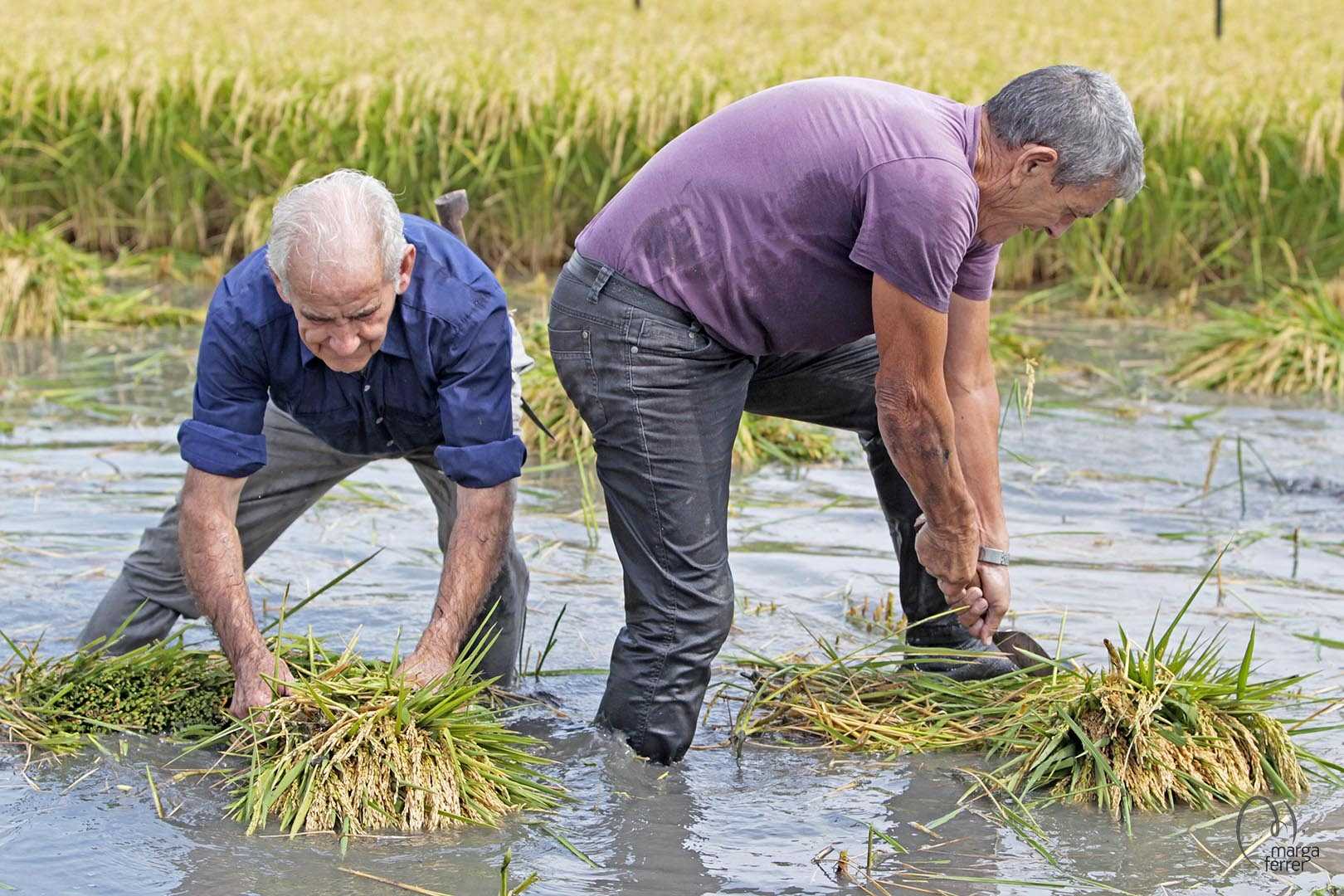 Foto: MARGA FERRER - 