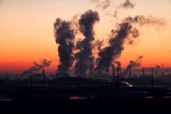Murcia evita la emisión de más de 175.000 toneladas de CO2 en 2024