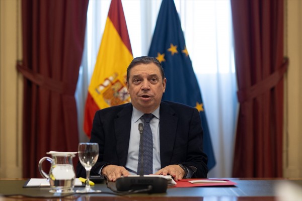 Planas viaja a Valencia para conocer el avance de las obras en caminos, regadío y parcelas
