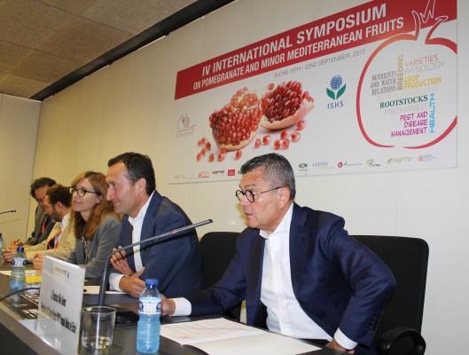 La Comunitat Valenciana y Murcia, a la cabeza mundial en investigación sobre la granada
