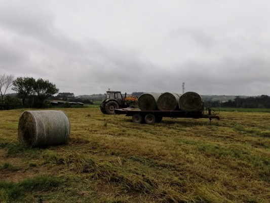Las ayudas de la PAC distribuyeron 34 millones entre los agricultores de la Región