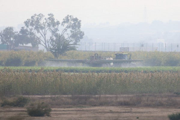 Ahsa teme una expansión de la agroindustria en el Camp d'Elx por la compra de 230 hectáreas en Carrizales