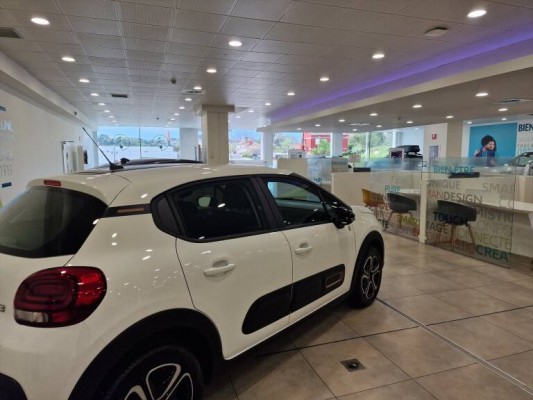 El coche eléctrico no arranca en Castellón: la venta cae en 2024, mientras aumentan los de gasolina
