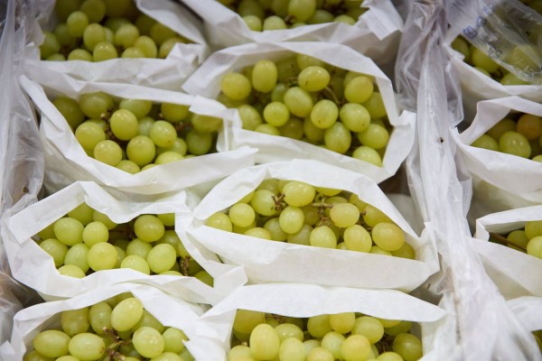 Estos son los consejos de los pediatras para evitar atragantamientos con las uvas en niños pequeños