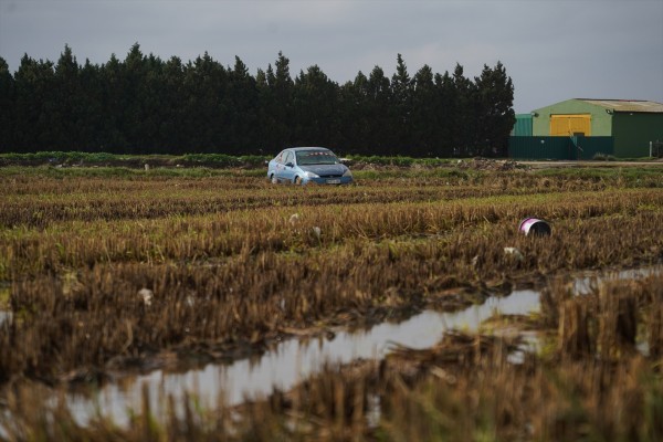 El Ministerio publica la orden que extiende las ayudas agrarias por la Dana a más damnificados
