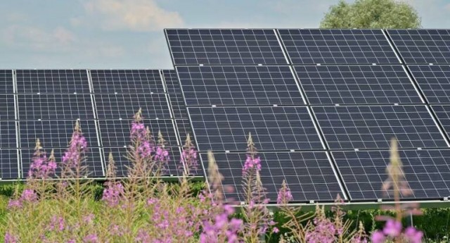 Aras de los Olmos se consolida como referente en energía renovable con su nuevo Plan Especial