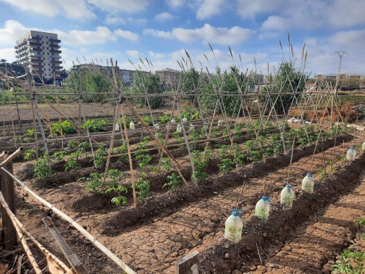 Acció Ecologista critica el plan urbanístico de Alfafar que 