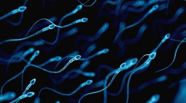 El 39% de los hombres y el 53% de las mujeres están preocupados por su fertilidad