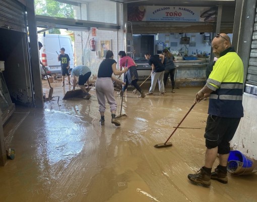 El Mercado Central lanza una campaña de compra de deshumidificadores a municipios afectados por la Dana

