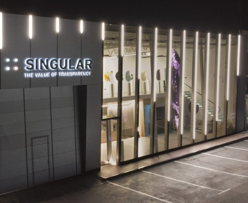 Grupo Singular: el valor de la eficiencia y la transparencia 