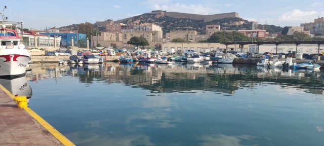 Las descargas de pescado fresco se disparan casi un 20% en el Puerto de Cartagena