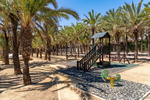 La firma Pórfidos y Riesgos Asfálticos recuperará el Palmeral de Cabo de Palos por 313.000 euros
