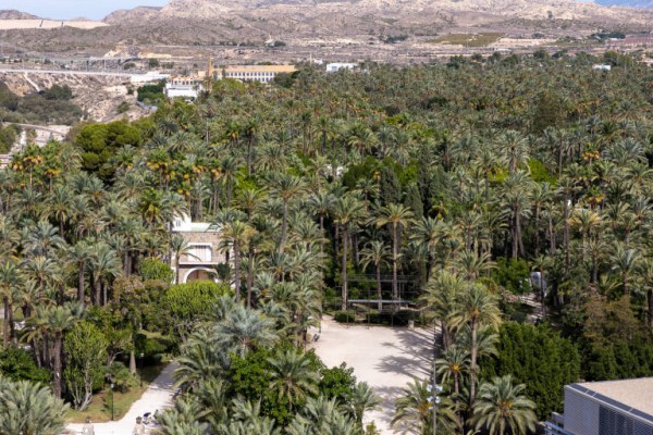 El perfil del crucerista que llega a Elche: busca cultura y gastronomía y visita el palmeral y Huerto del Cura