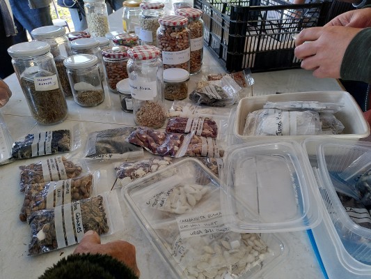 Tres ONG de Castellón demuestran en un informe que pagar menos por alimentarse cuesta más caro