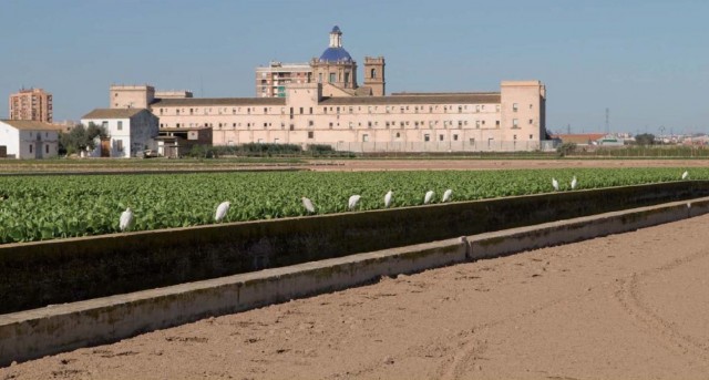 València inicia la exposición del Plan de San Miguel de los Reyes, que prevé 575 viviendas
