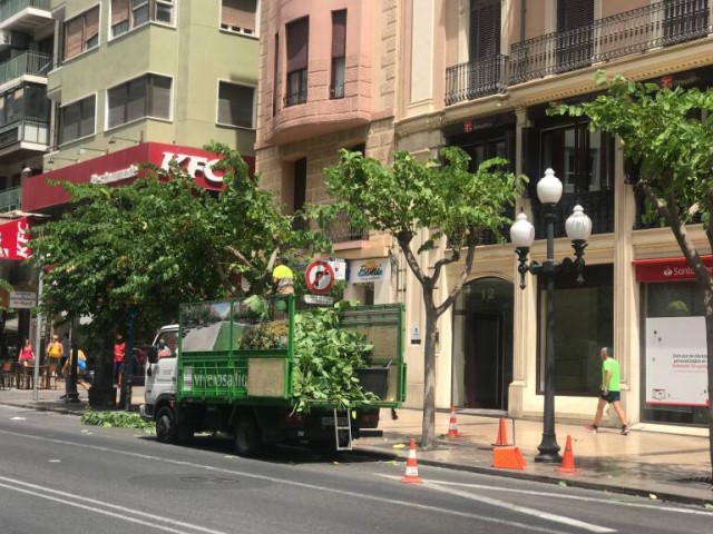 Alicante cierra el litigio y asume el pago de un millón a Geamur por la contrata de jardines