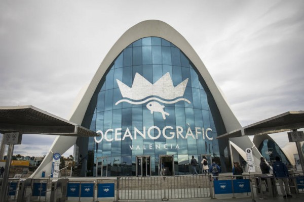 La Ciutat de les Arts y el Oceanogràfic amplían la vigencia del pase anual para afectados por la Dana