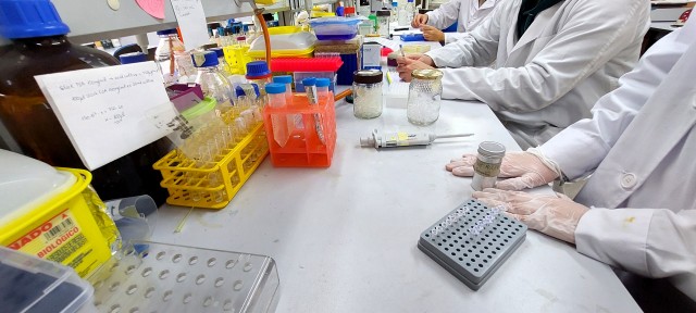 Gasterra presentará en Dénia sus proyectos de investigación desarrollados en la UA