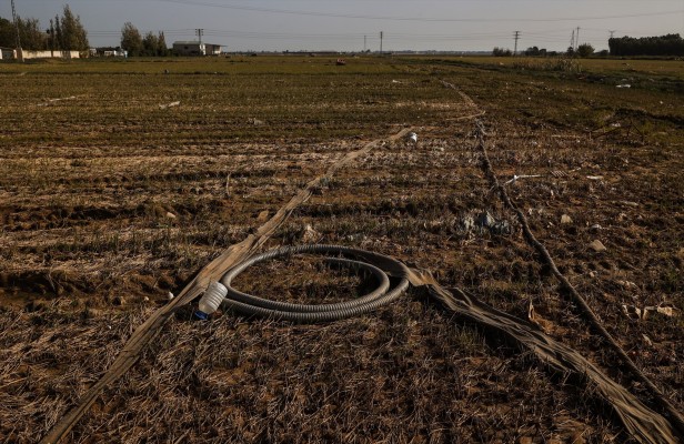 Agricultura afirma que el Gobierno 