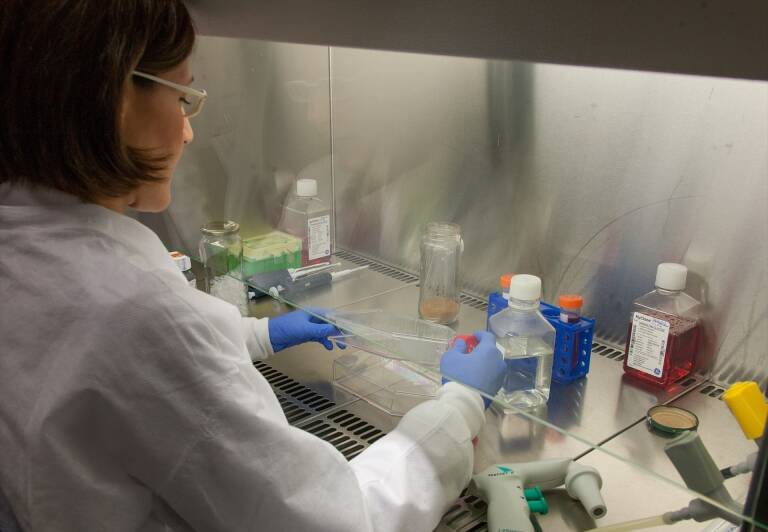 España lidera la realización de ensayos clínicos en Europa con 930 estudios de investigación de medicamentos en 2024
