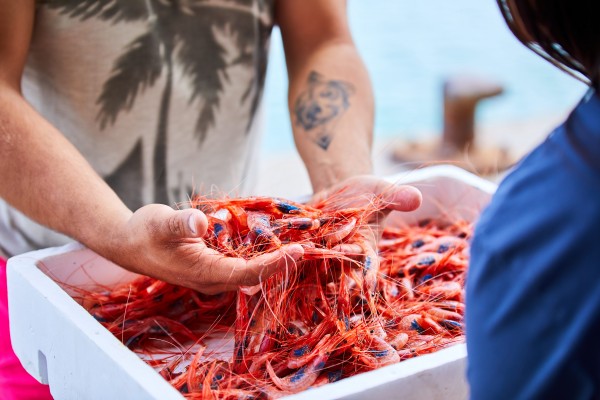 Los pescadores de Cartagena celebran la Navidad de la gamba roja: casi 4 millones de facturación
