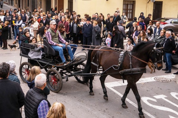Desfilada i benedicció: Nules i Mascarell ultimen els preparatius per a la seua festa de Sant Antoni