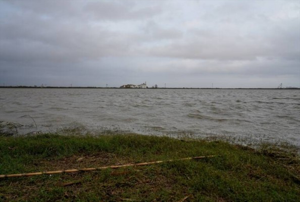 La gestión por los efectos de la Dana en l'Albufera se prolongará durante 