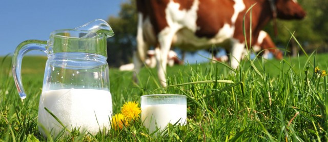 Las bebidas alternativas a la leche no sustituyen el yodo de la leche de vaca

