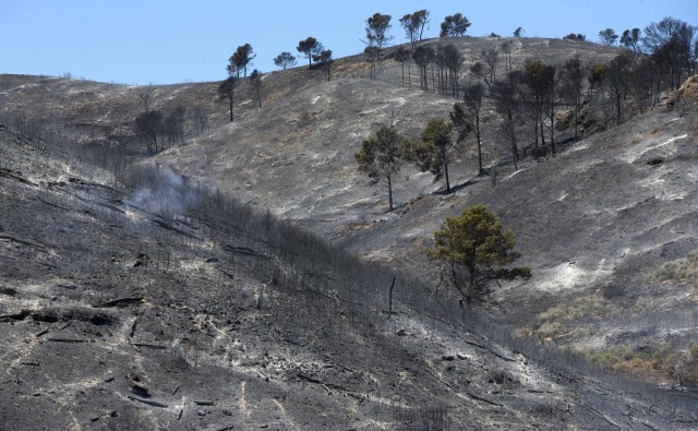 Los incendios forestales de este año han sido los menos agresivos desde 2012