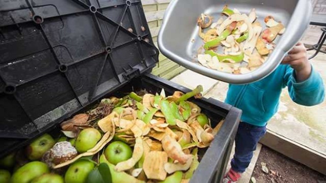 El problema del desperdicio de alimentos y posibles soluciones