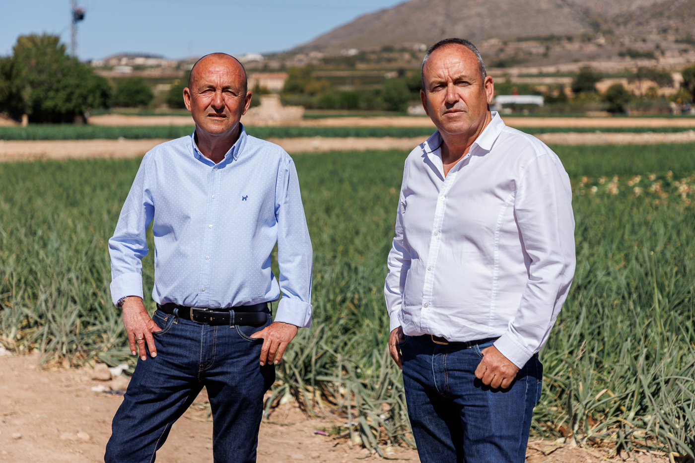 Trabajo de Cebollas Javaloyes en Hondón de las Nieves (Fotos: Pepe Olivares)