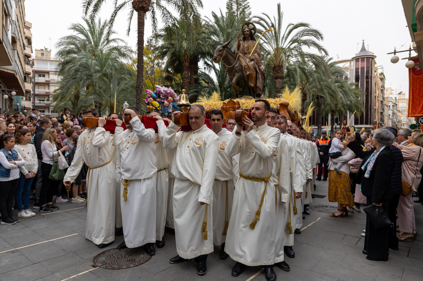 Procesión del Domingo de Ramos en Elche 2024 (Fotos: Pepe Olivares)