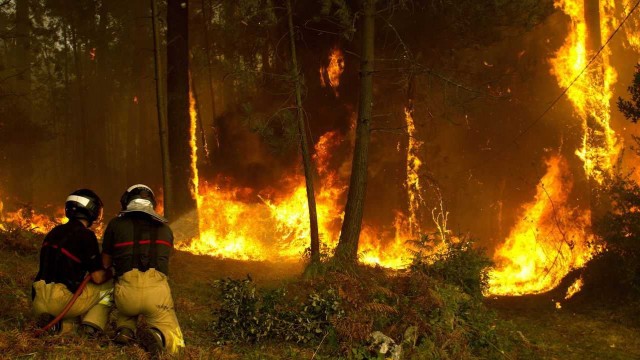 Al menos cuatro muertos en los más de 105 incendios que arrasan Galicia