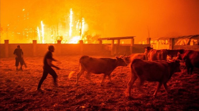 Más de 30 muertos en los incendios que se extienden por Portugal