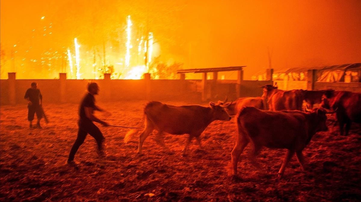 Más de 30 muertos en los incendios que se extienden por Portugal