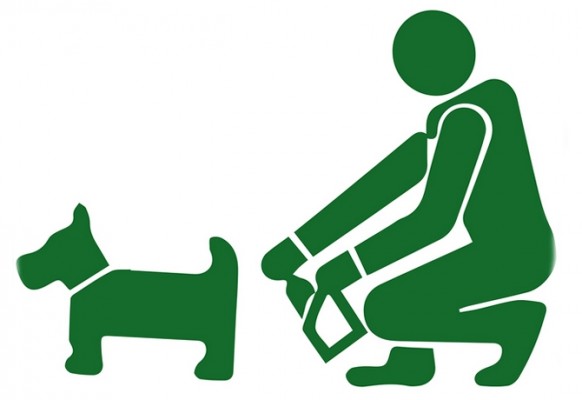 Valencia sancionará a dueños de perros que no recojan las heces de la calle