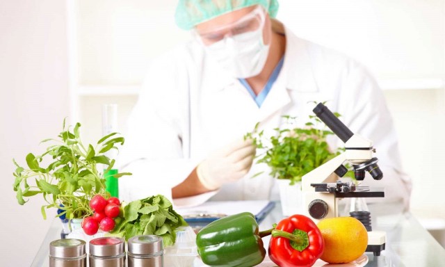 Ainia desarrolla un software para predecir la vida útil de los alimentos con mayor rapidez