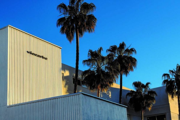 L’Horta Sud Connection: Viccarbe, la causa por la que los empleados de Google se sientan en butacas de Beniparrell