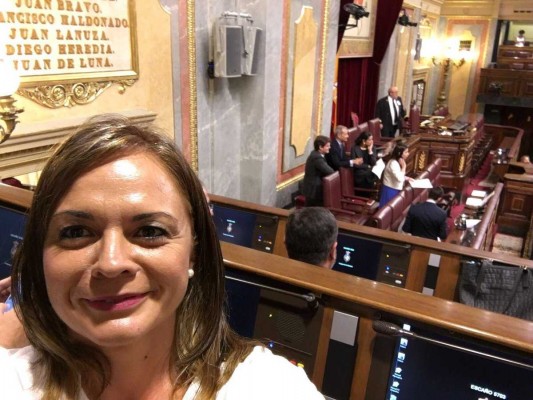 El PP, dispuesto a estudiar el traslado de la Dama a Elche, pero tras el aniversario del MAN