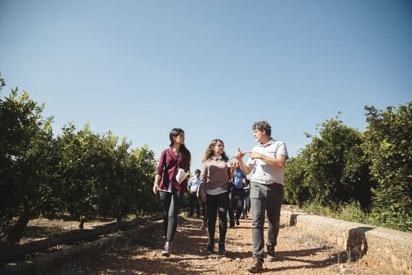 Coca-Cola presenta un proyecto para mejorar la competitividad de los cítricos españoles 