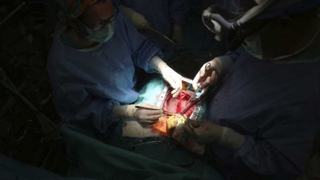La media para recibir un trasplante de corazón urgente en España es de 7,6 días, 15 menos que en el extranjero