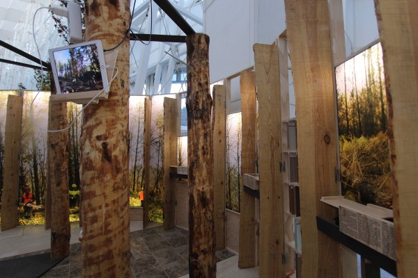 Una exposición muestra las conexiones entre el espacio y la madera