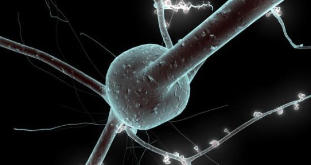 Un nuevo método predice el riesgo de sufrir esclerosis múltiple en la fase inicial