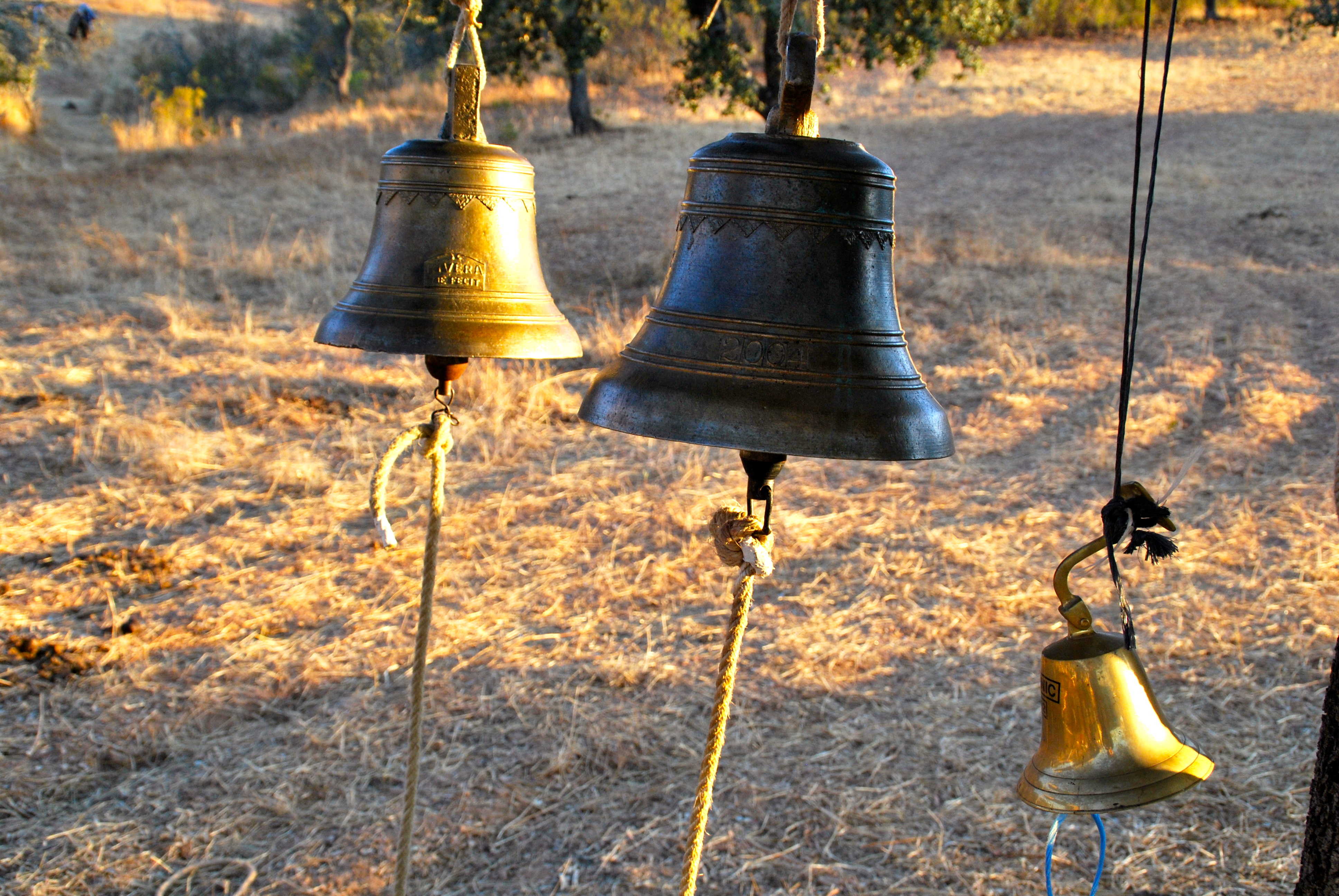 El Carme clausura les Nits d'Aielo i Art amb els sons del campanar portàtil de Llorenç Barber