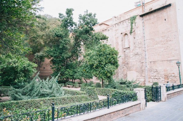 El jardín olvidado de València