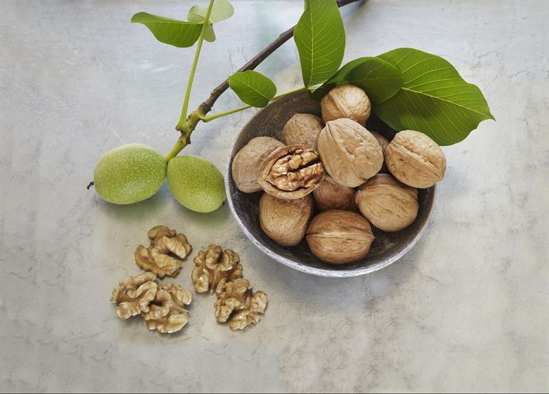 Los polifenoles de las nueces ayudan a la prevención de enfermedades