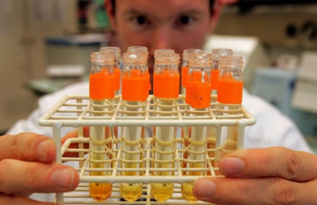 La Semana de la Ciencia se acerca a los más jóvenes en su arranque en la Comunitat Valenciana